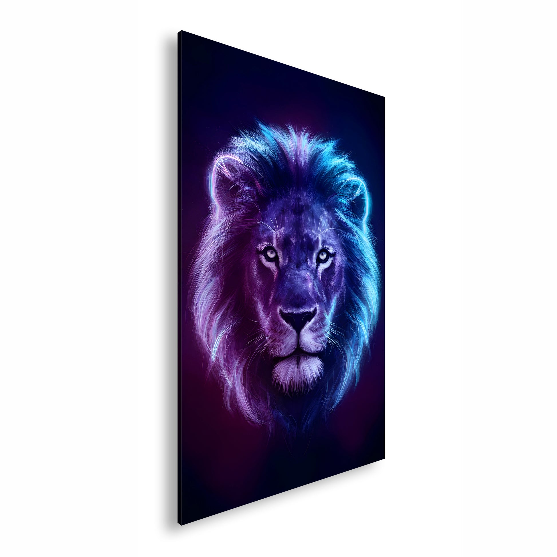 Hauptbild Farbig Standart