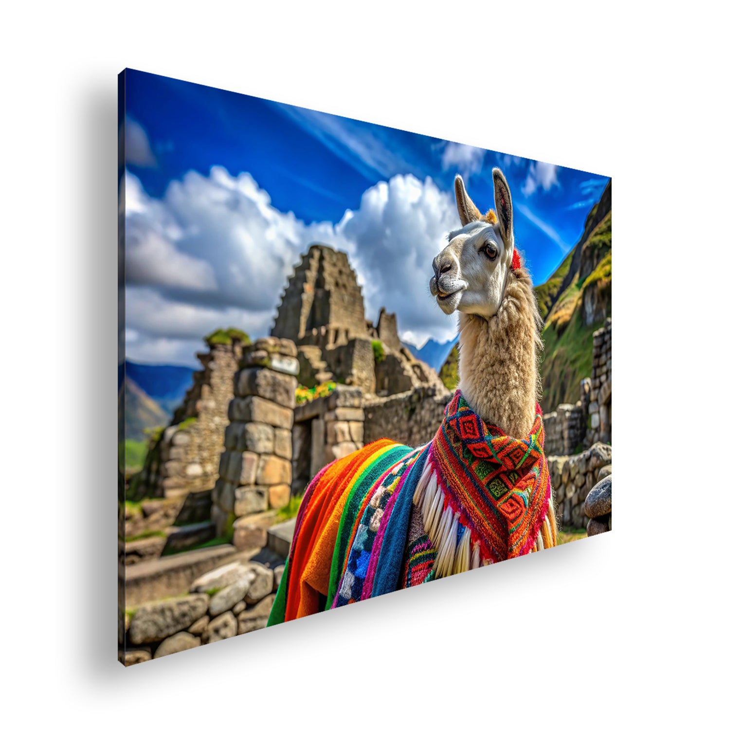 Hauptbild Farbig Standart