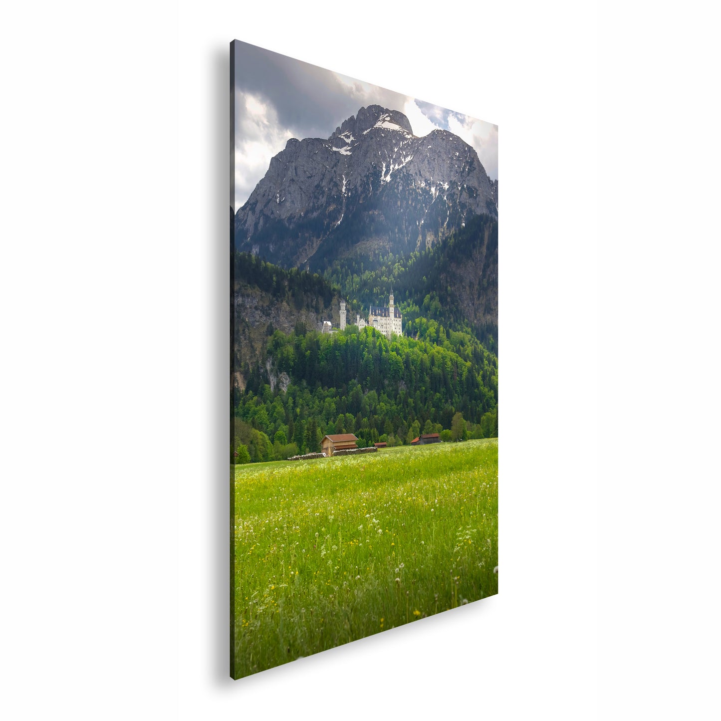 Hauptbild Farbig Standart