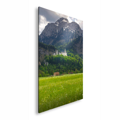 Hauptbild Farbig Standart