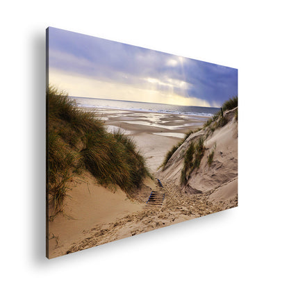 Hauptbild Farbig Standart