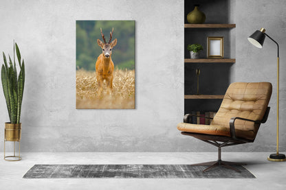 Vorschaubild Wohnzimmerbild 1