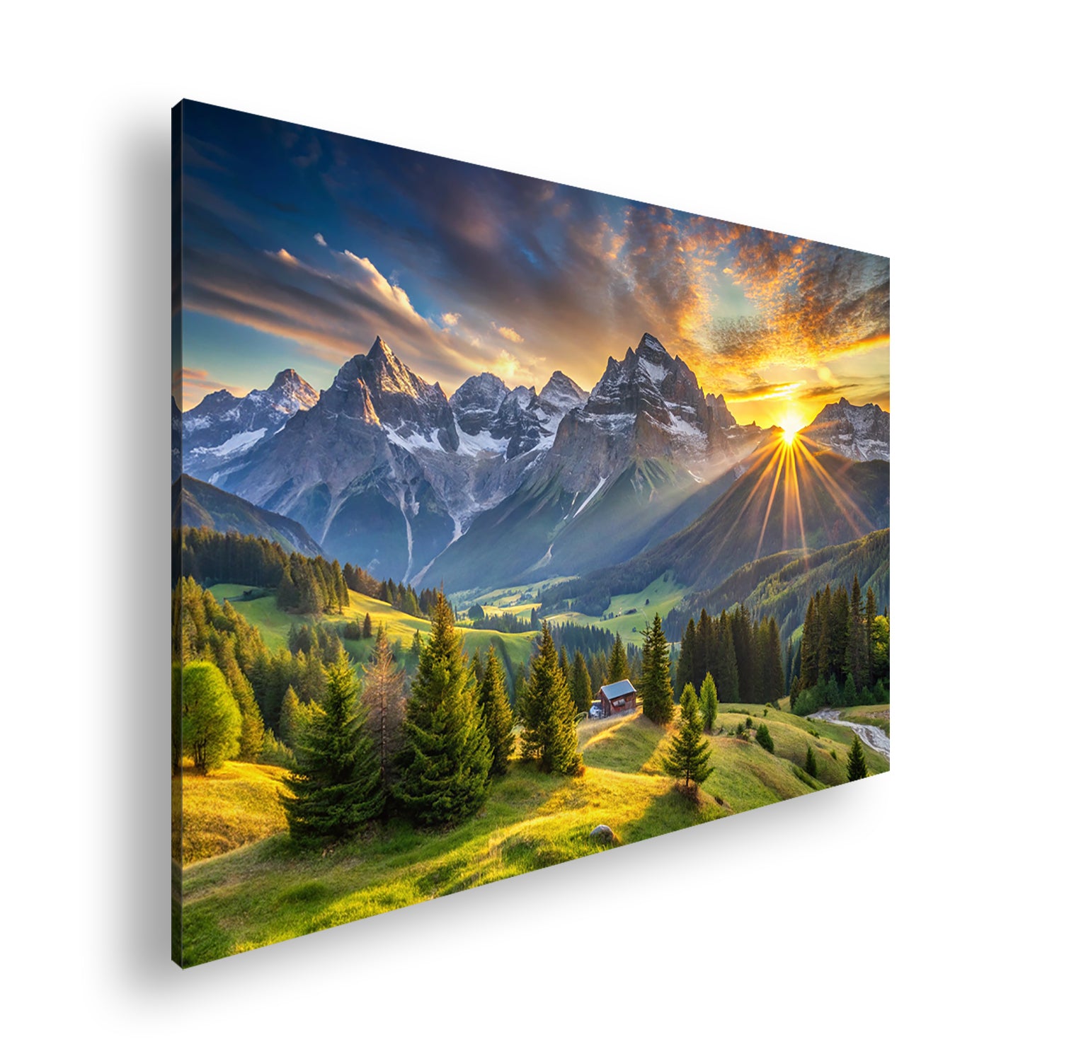 Hauptbild Farbig Standart