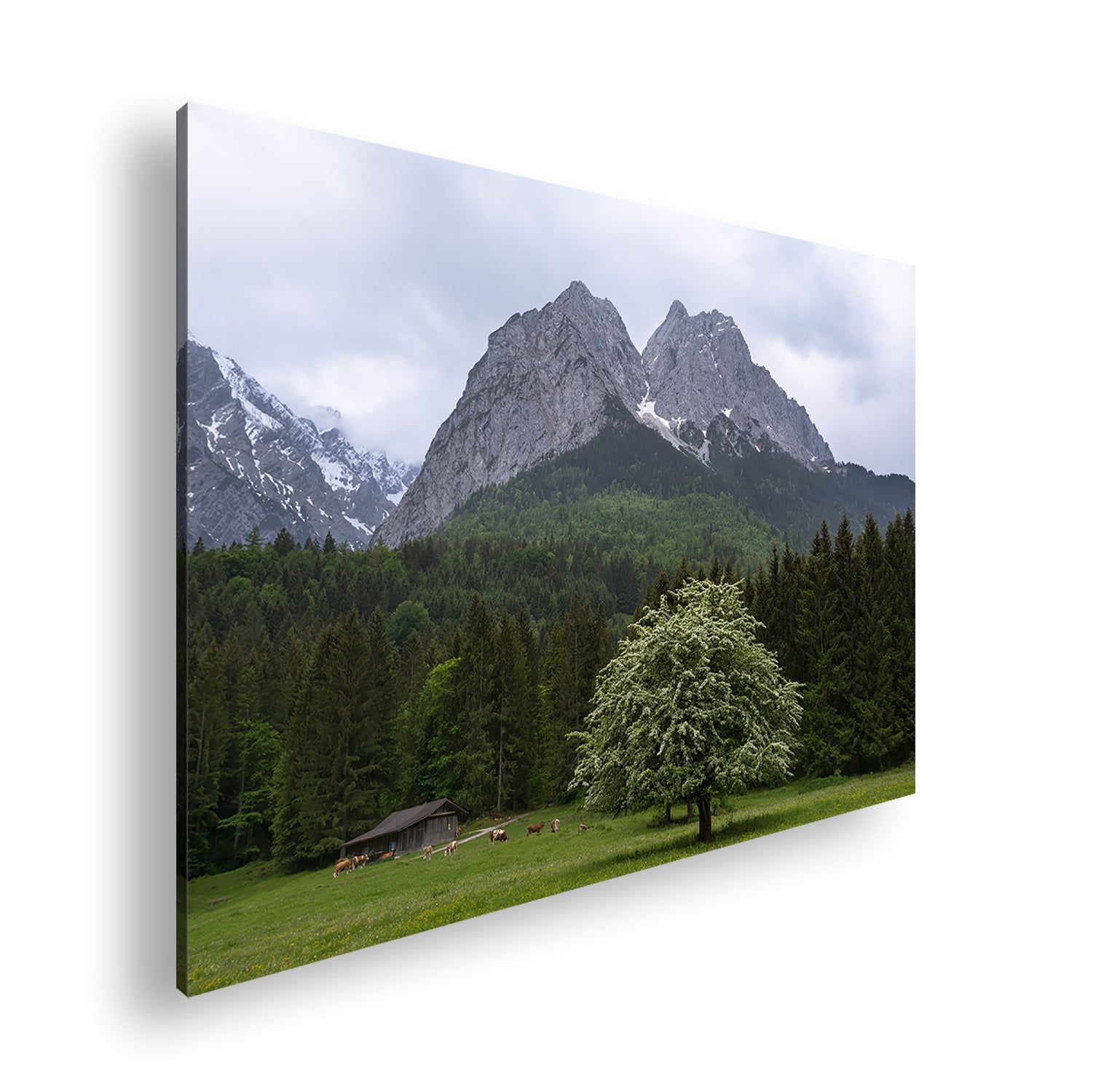 Hauptbild Farbig Standart