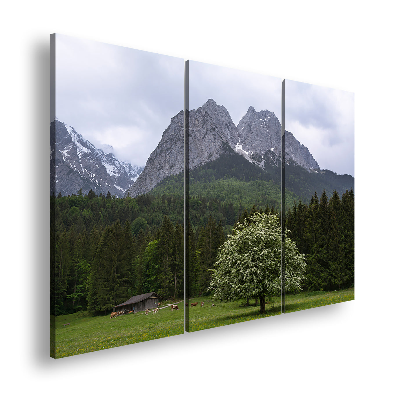 Hauptbild Farbig 3 Teilig