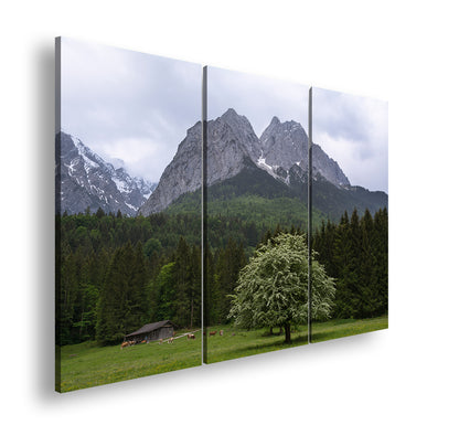 Hauptbild Farbig 3 Teilig