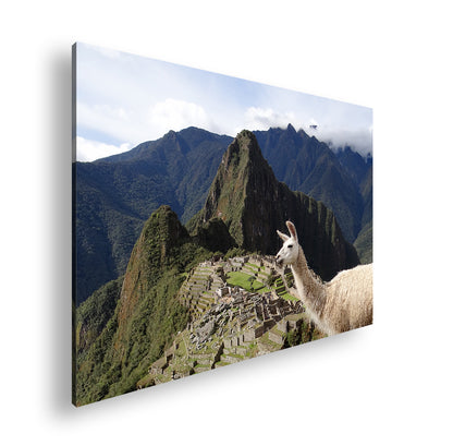 Hauptbild Farbig Standart