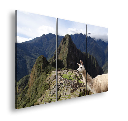 Hauptbild Farbig 3 Teilig