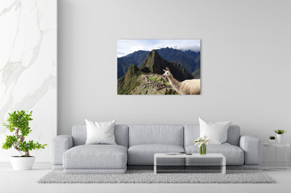 Vorschaubild Wohnzimmerbild 1