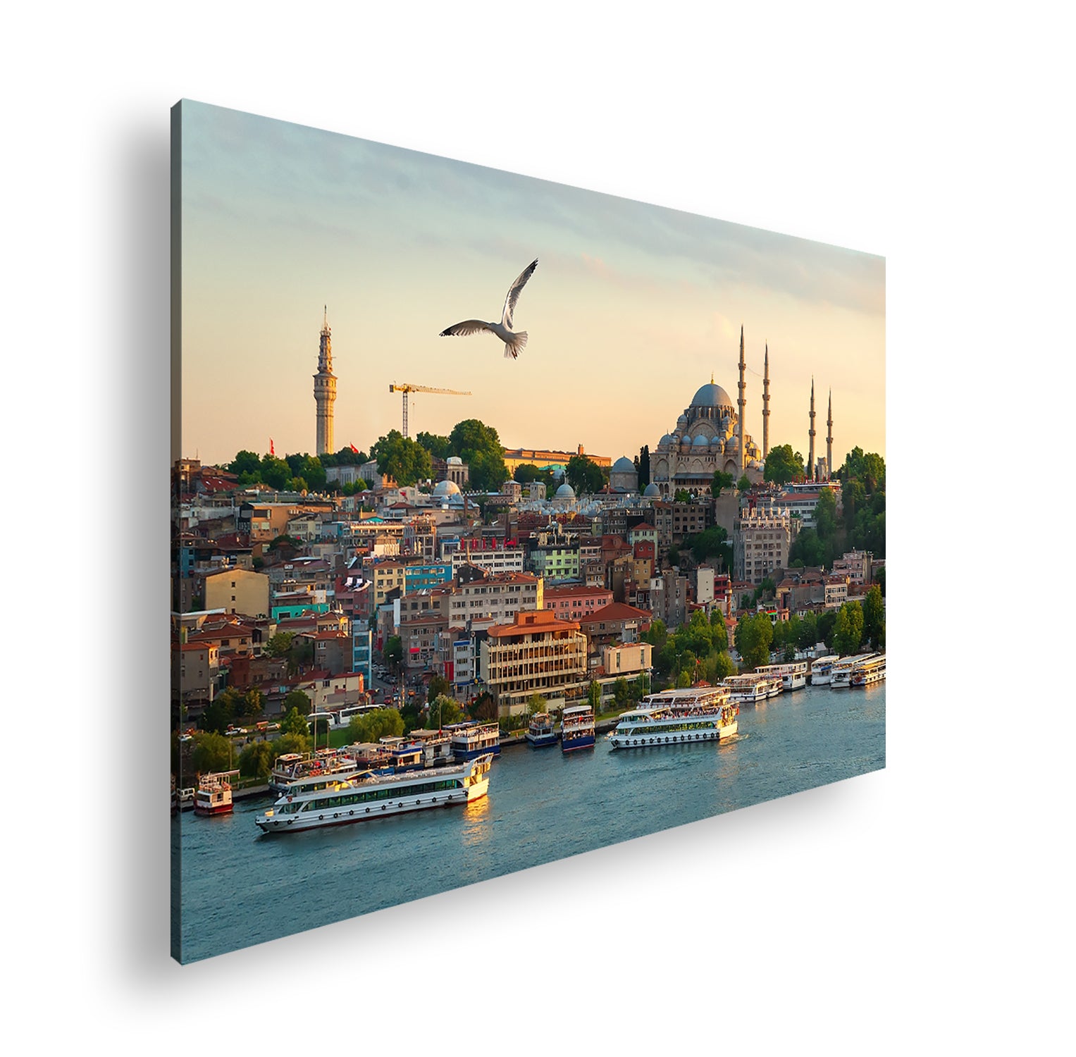 Hauptbild Farbig Standart