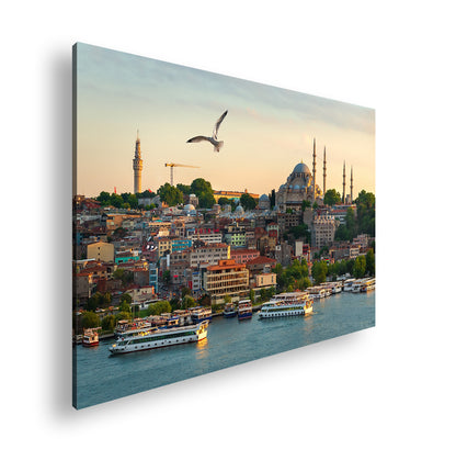 Hauptbild Farbig Standart