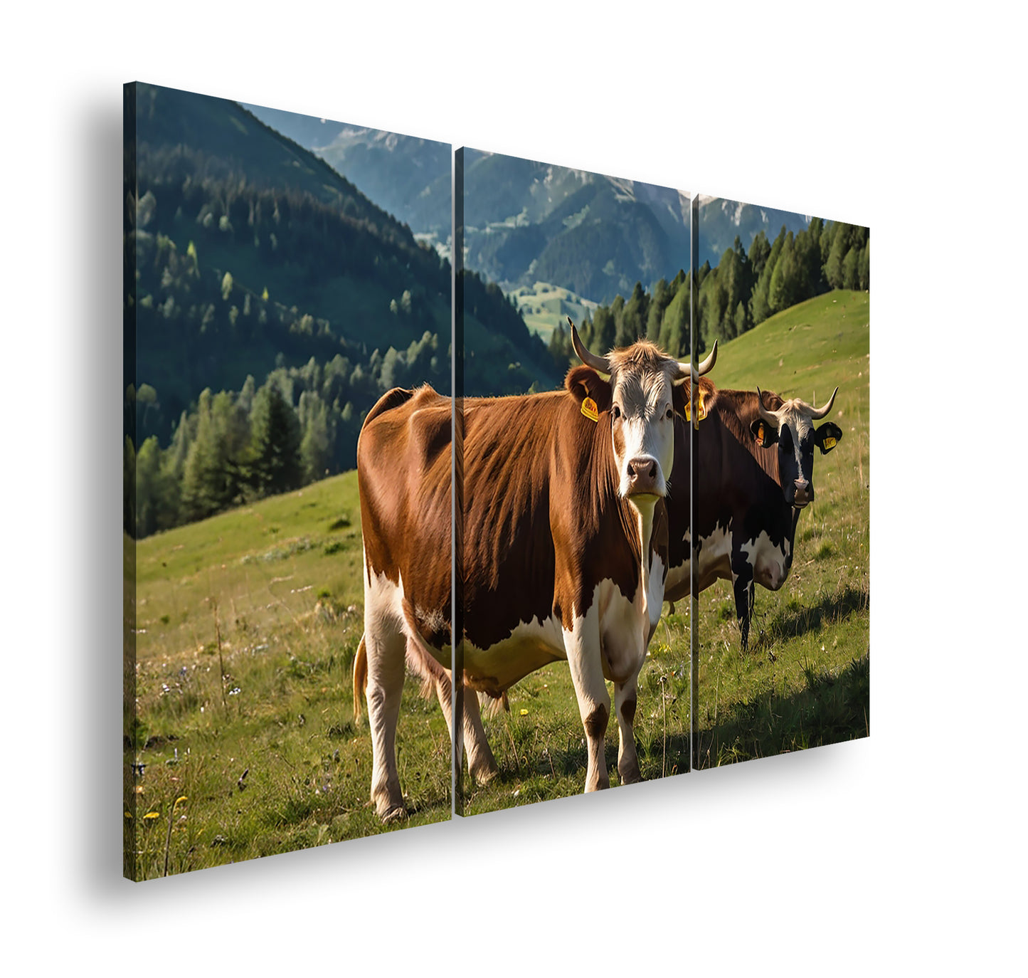 Hauptbild Farbig 3 Teilig