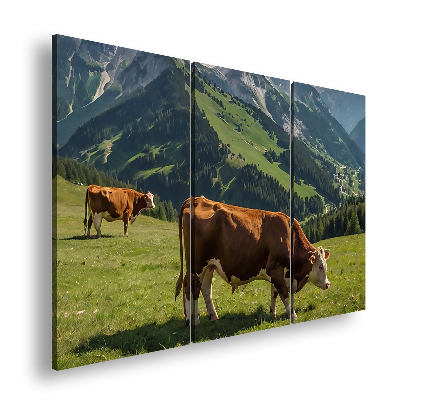 Hauptbild Farbig 3 Teilig