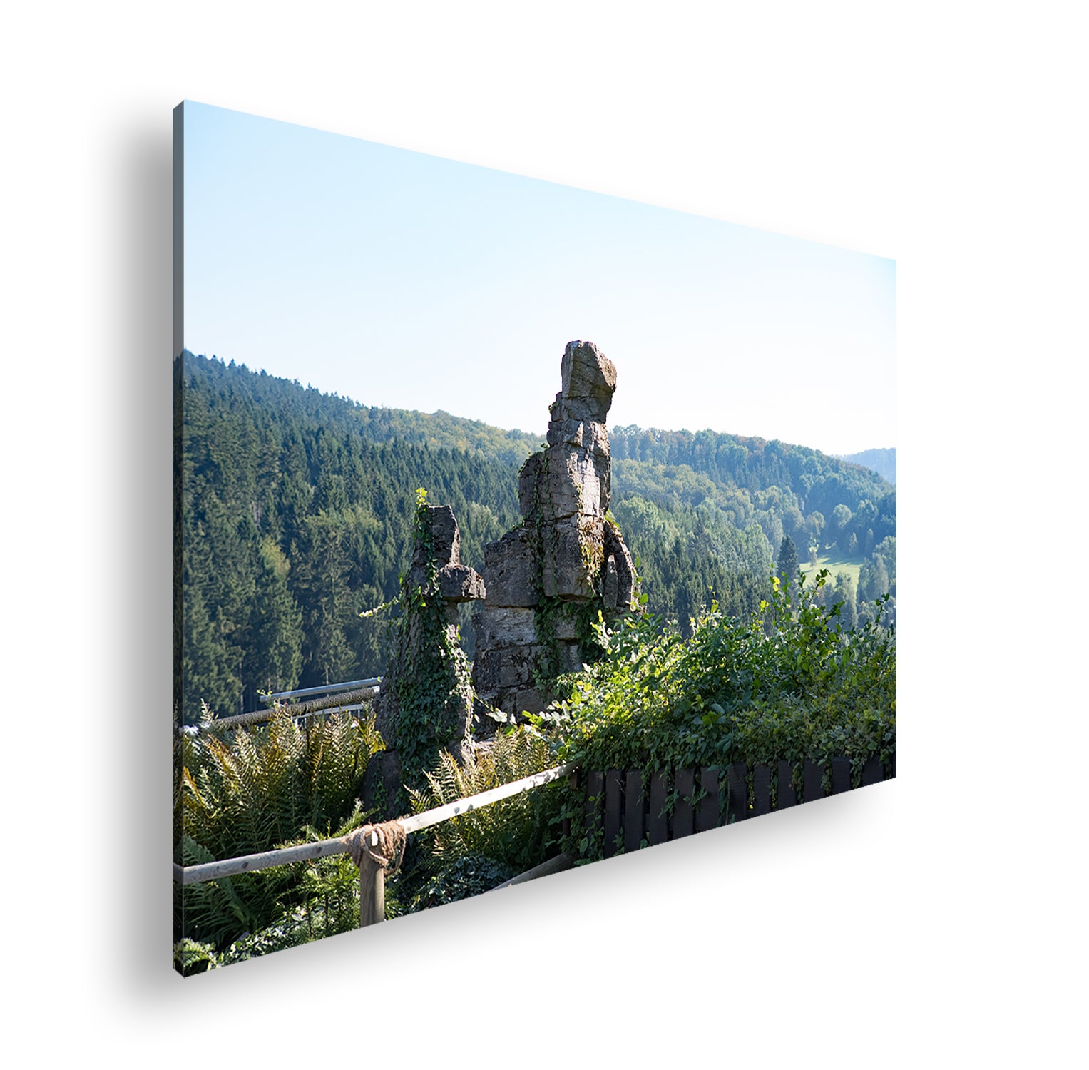 Hauptbild Farbig Standart