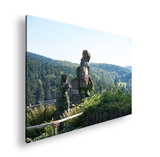 Hauptbild Farbig Standart