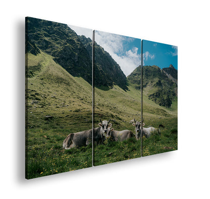 Hauptbild Farbig 3 Teilig