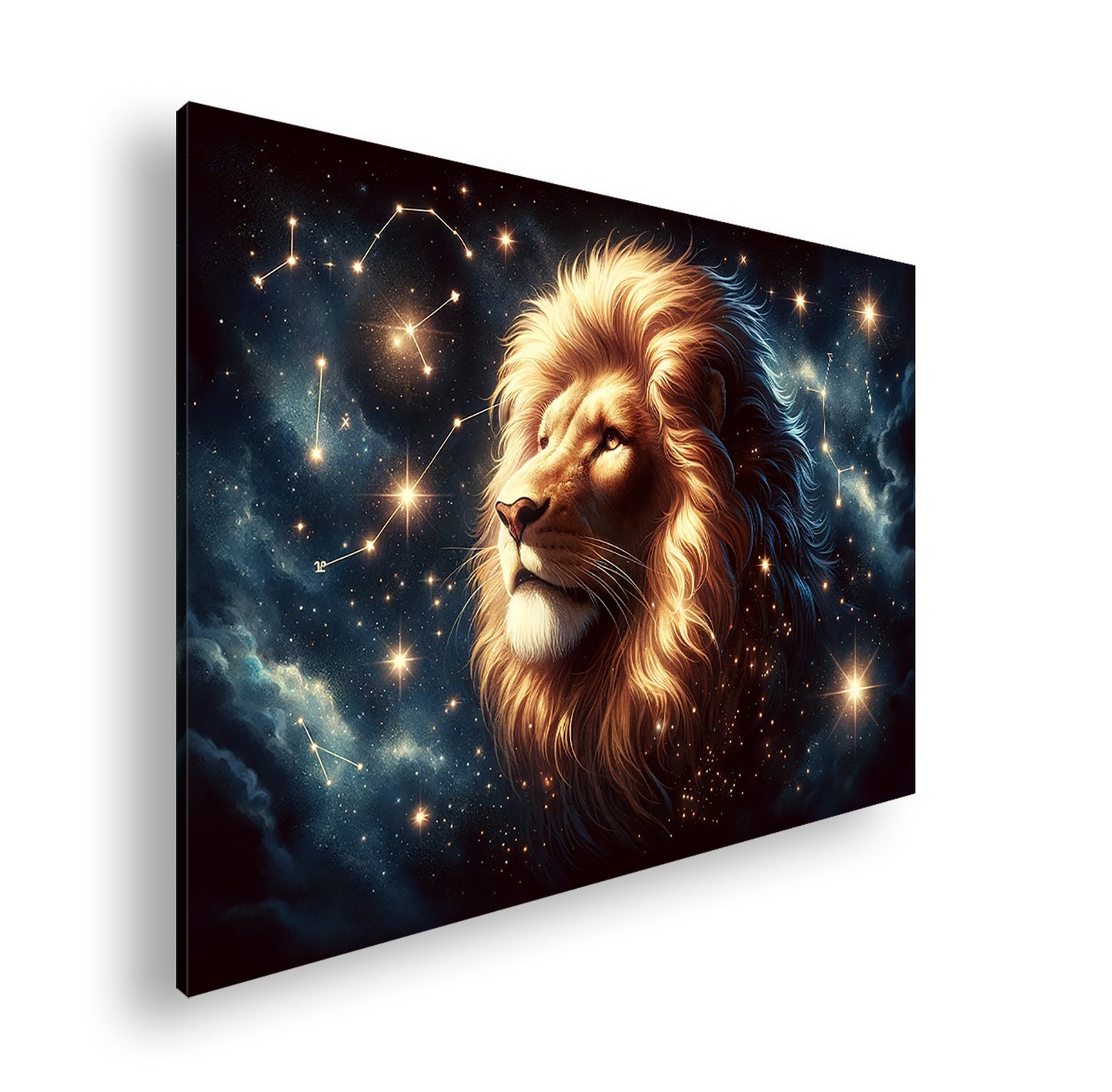 Hauptbild Farbig Standart