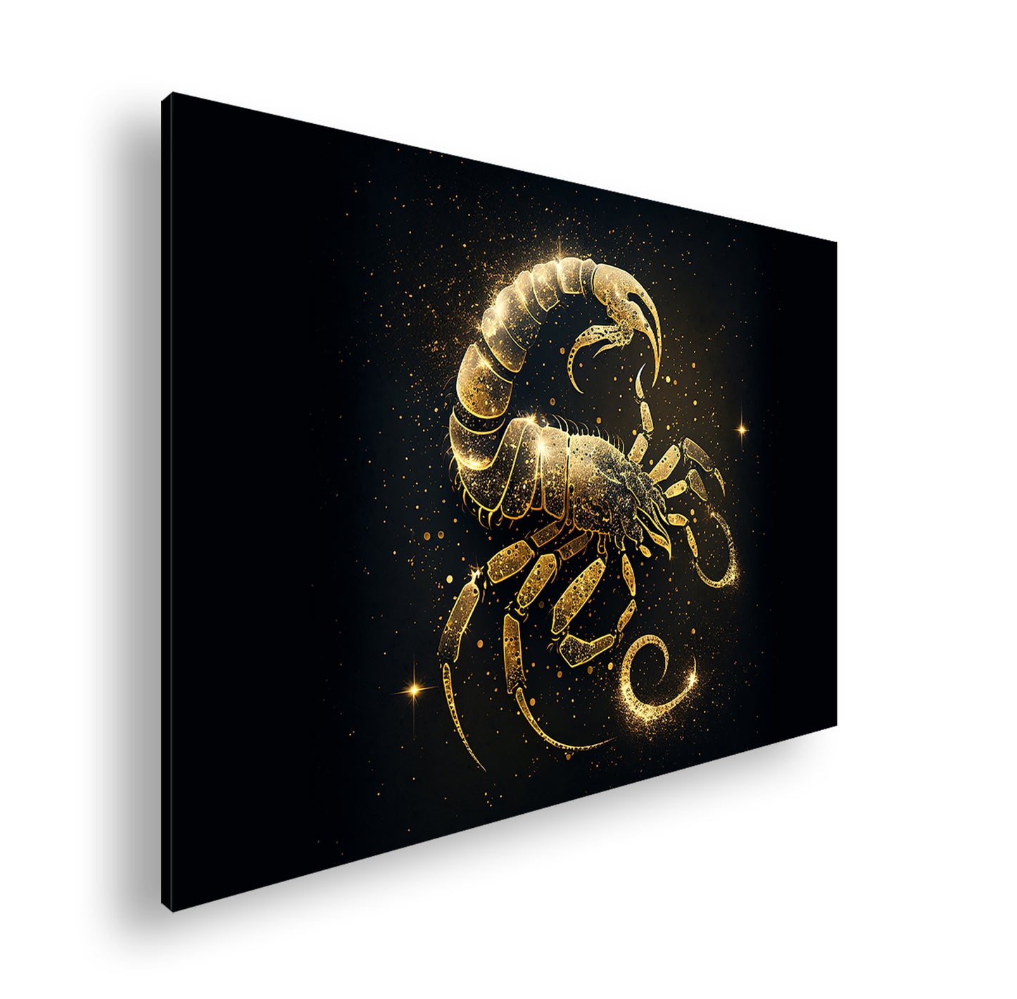 Hauptbild Farbig Standart