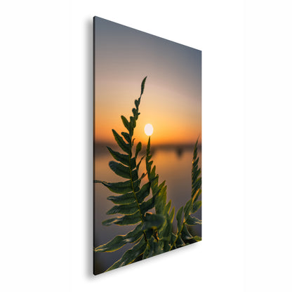 Hauptbild Farbig Standart