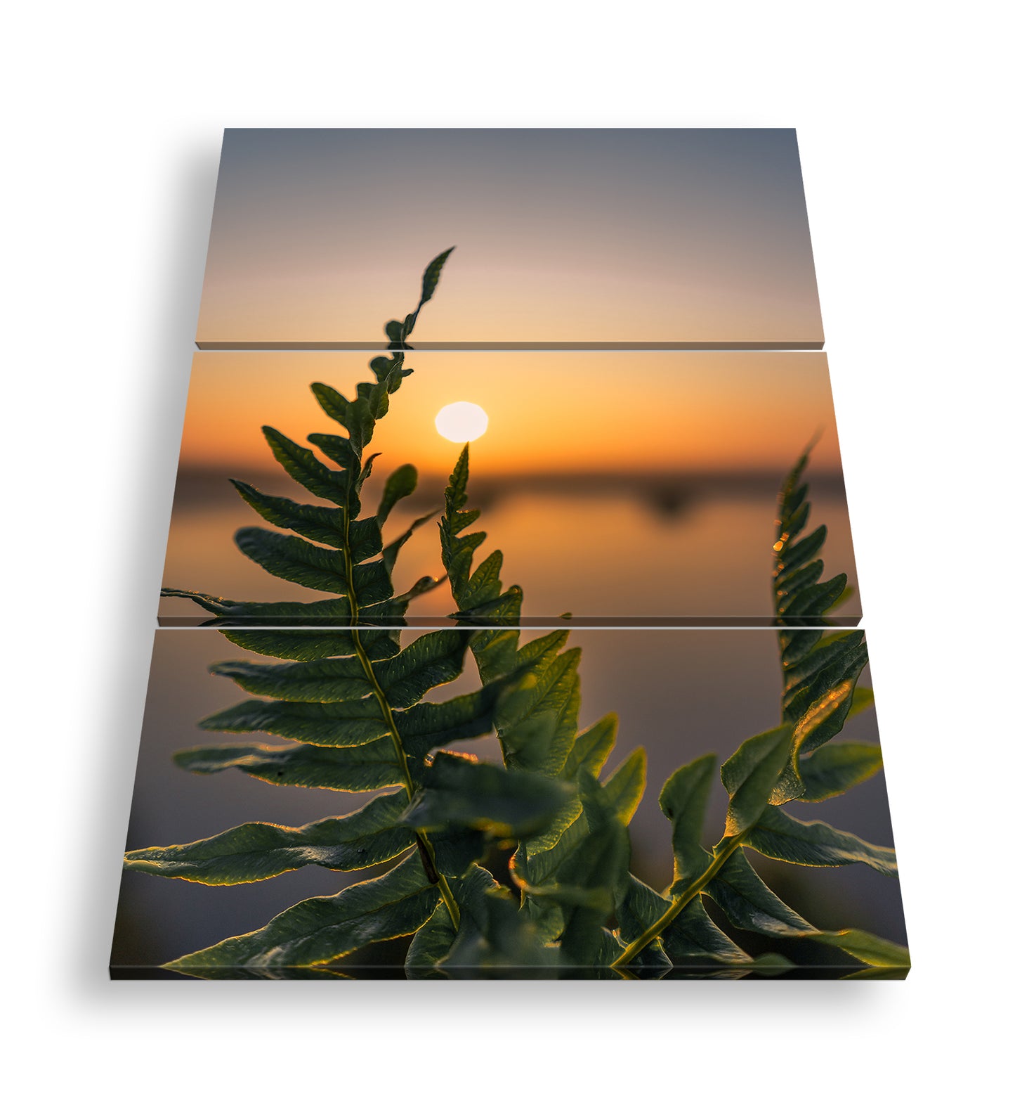 Hauptbild Farbig 3 Teilig