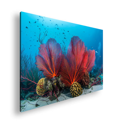 Hauptbild Farbig Standart