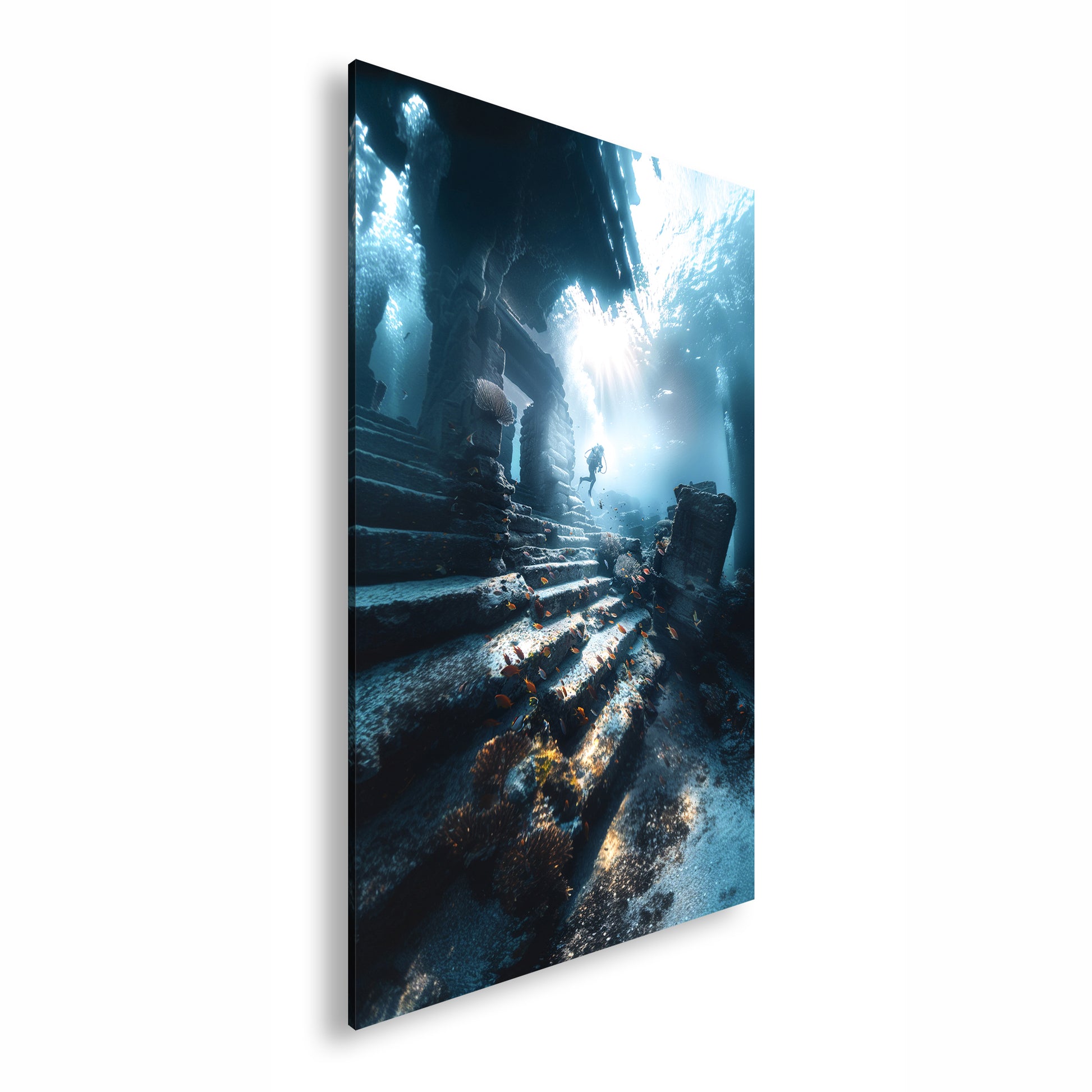 Hauptbild Farbig Standart