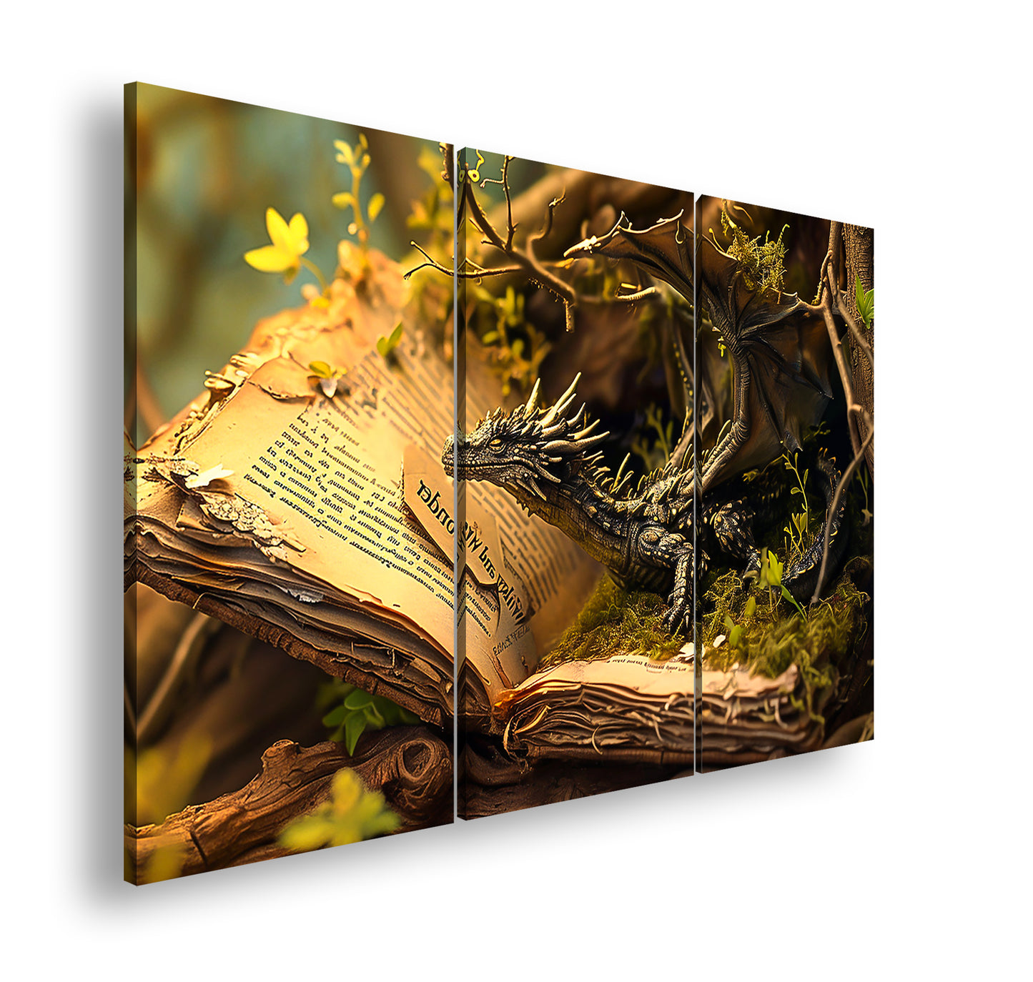 Hauptbild Farbig 3 Teilig