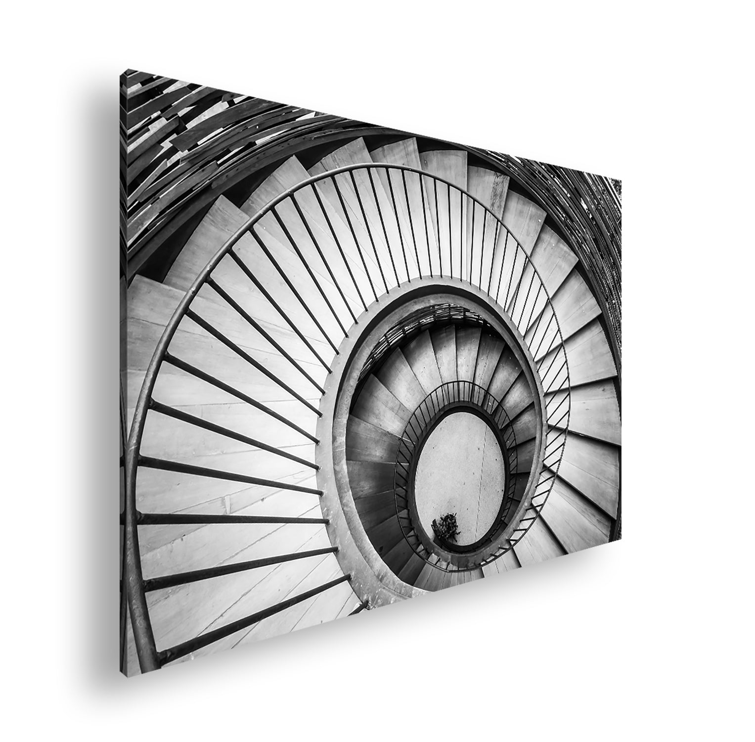 Hauptbild Farbig Standart