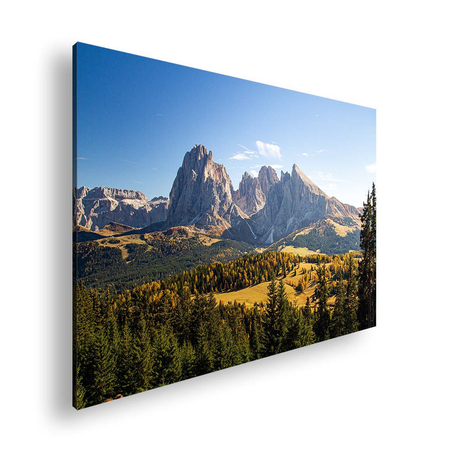 Hauptbild Farbig Standart