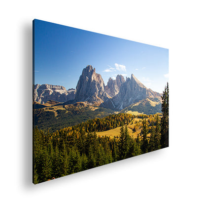 Hauptbild Farbig Standart