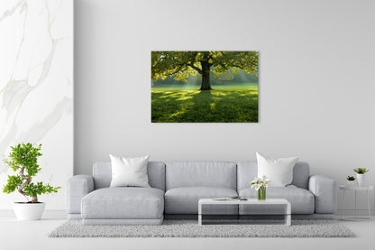 Vorschaubild Wohnzimmerbild 1