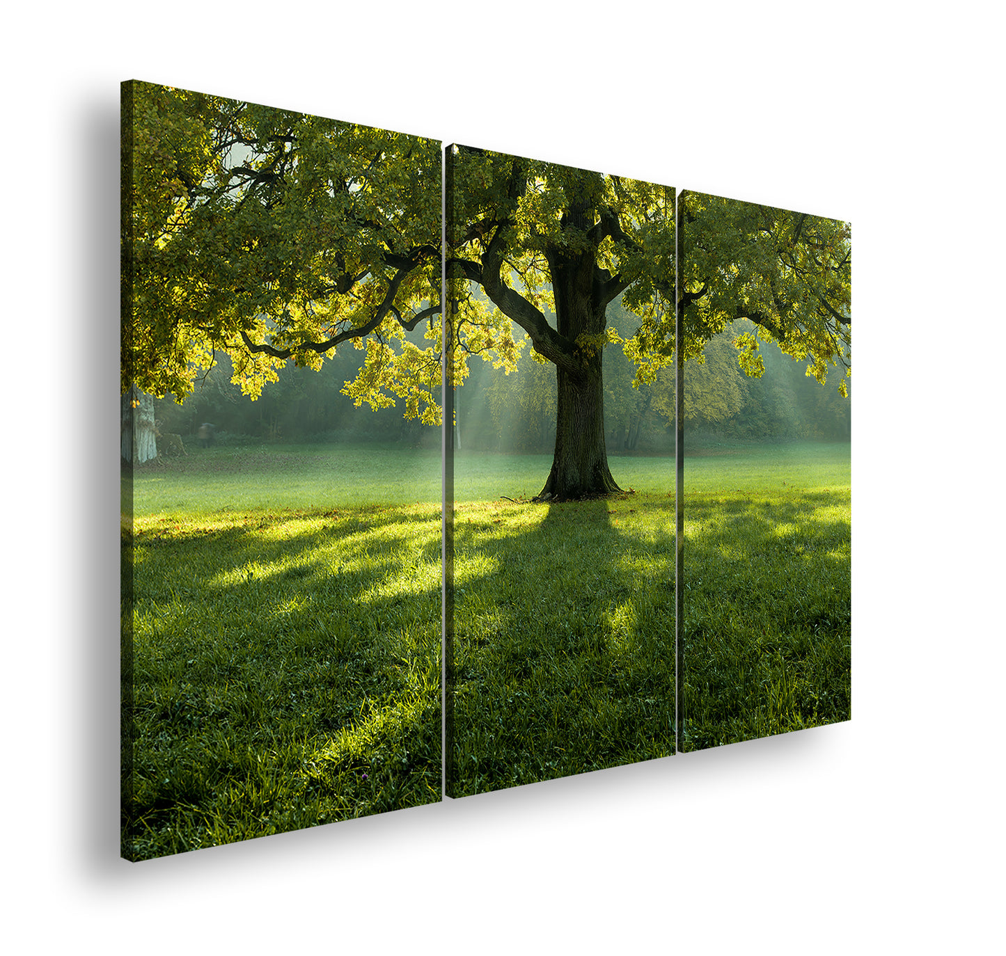 Hauptbild Farbig 3 Teilig