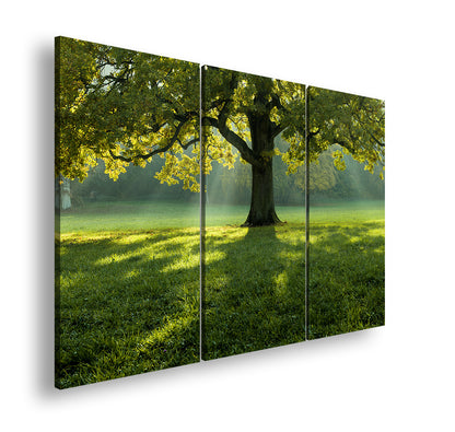 Hauptbild Farbig 3 Teilig