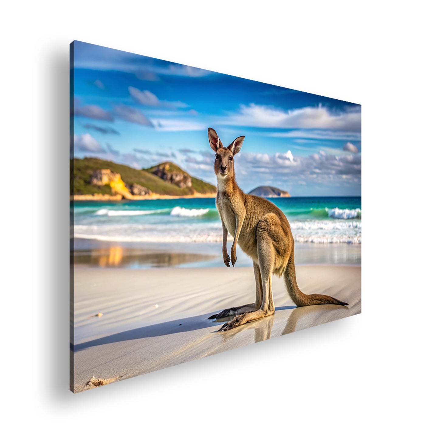 Hauptbild Farbig Standart