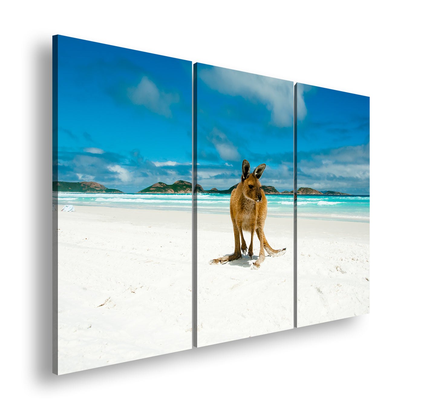 Hauptbild Farbig 3 Teilig