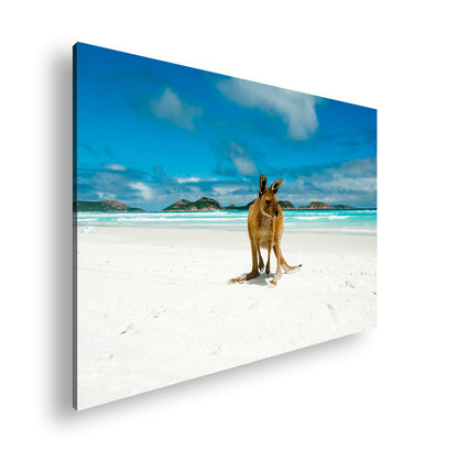 Hauptbild Farbig Standart