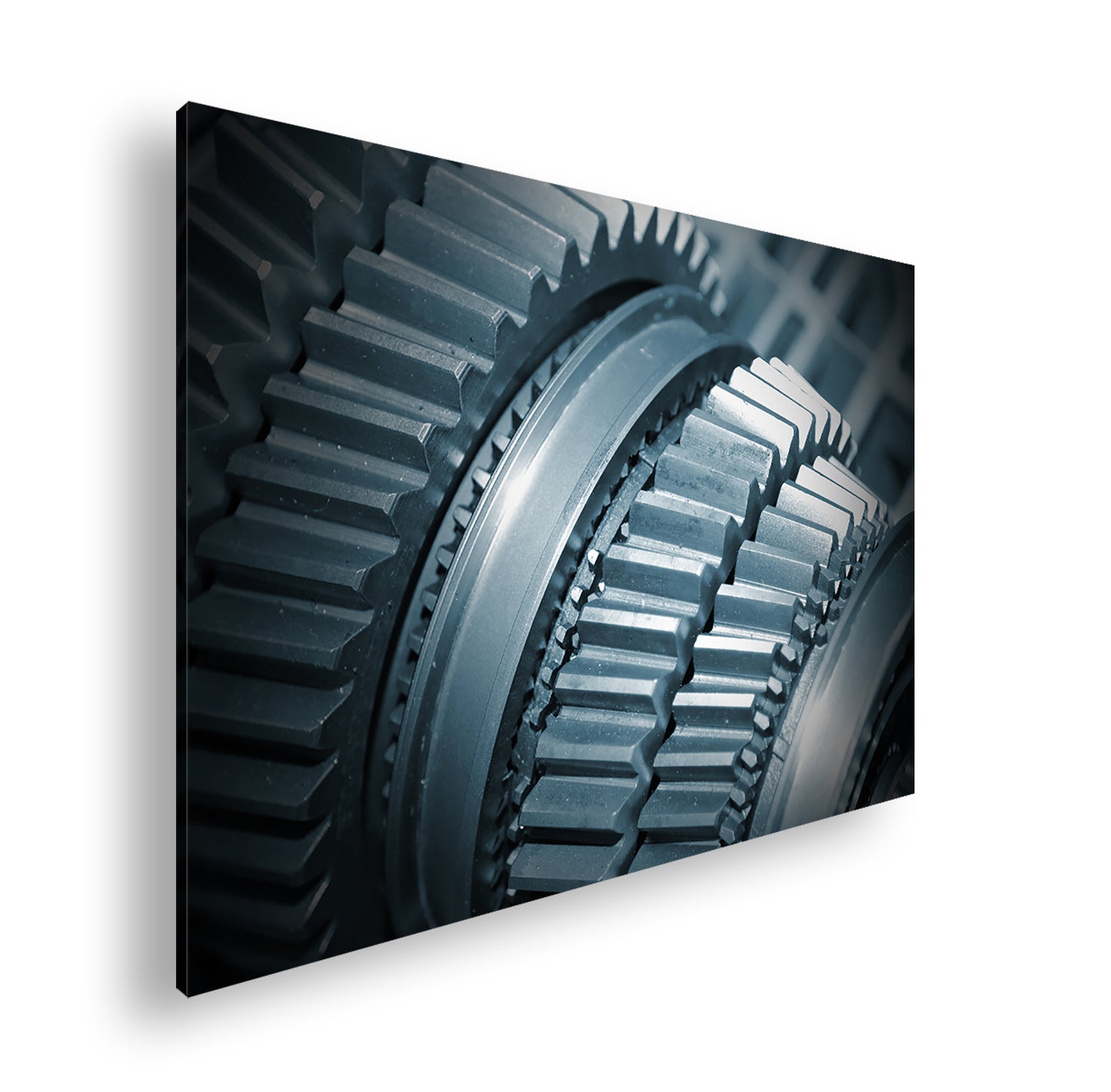 Hauptbild Farbig Standart