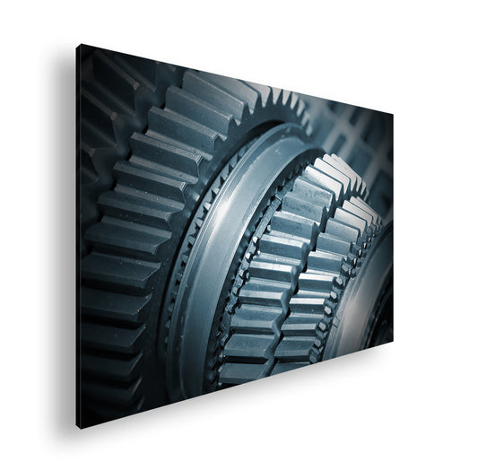 Hauptbild Farbig Standart