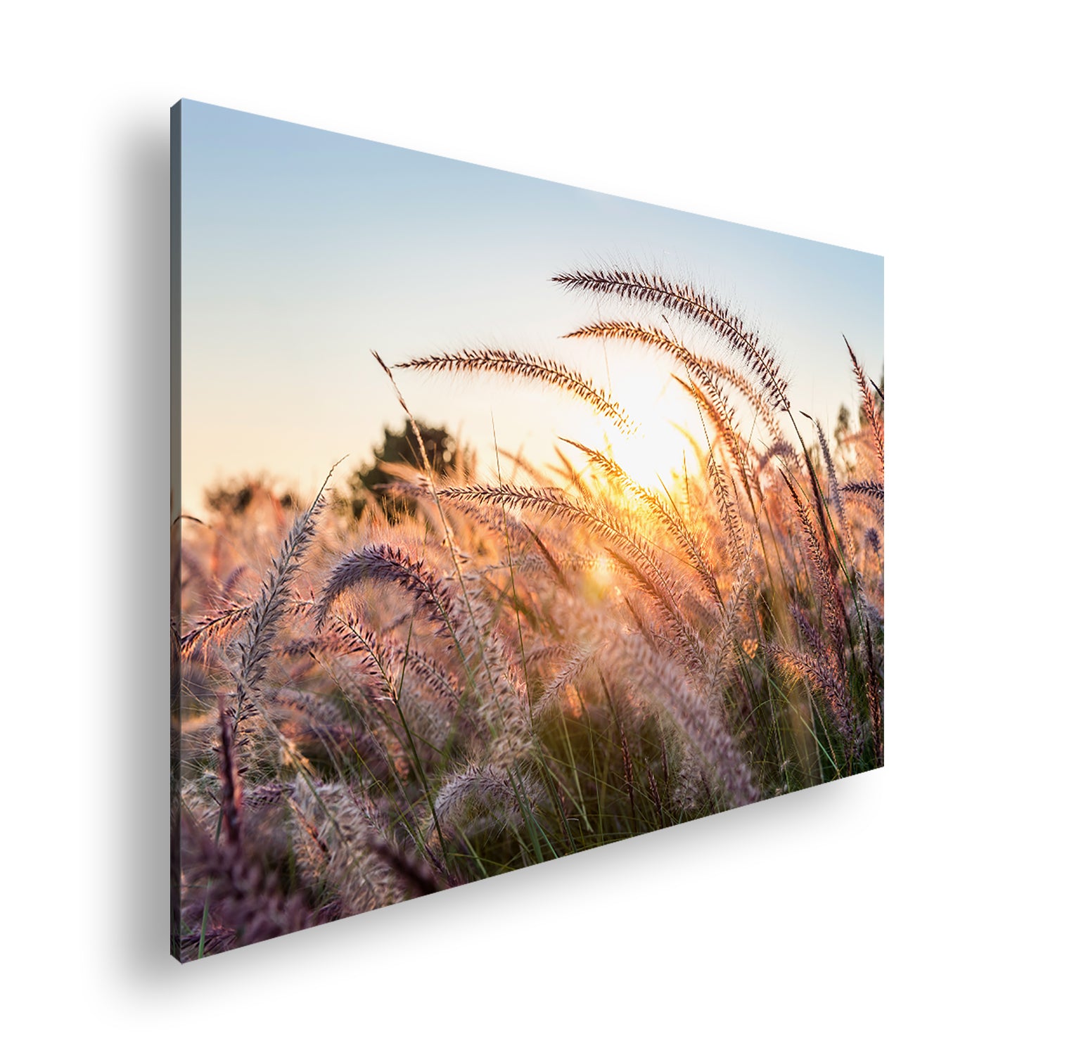 Hauptbild Farbig Standart