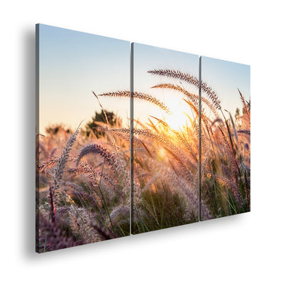 Hauptbild Farbig 3 Teilig