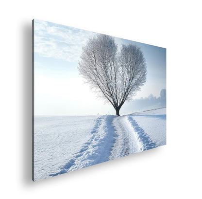 Hauptbild Farbig Standart