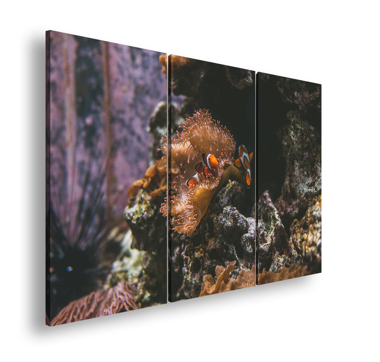 Hauptbild Farbig 3 Teilig