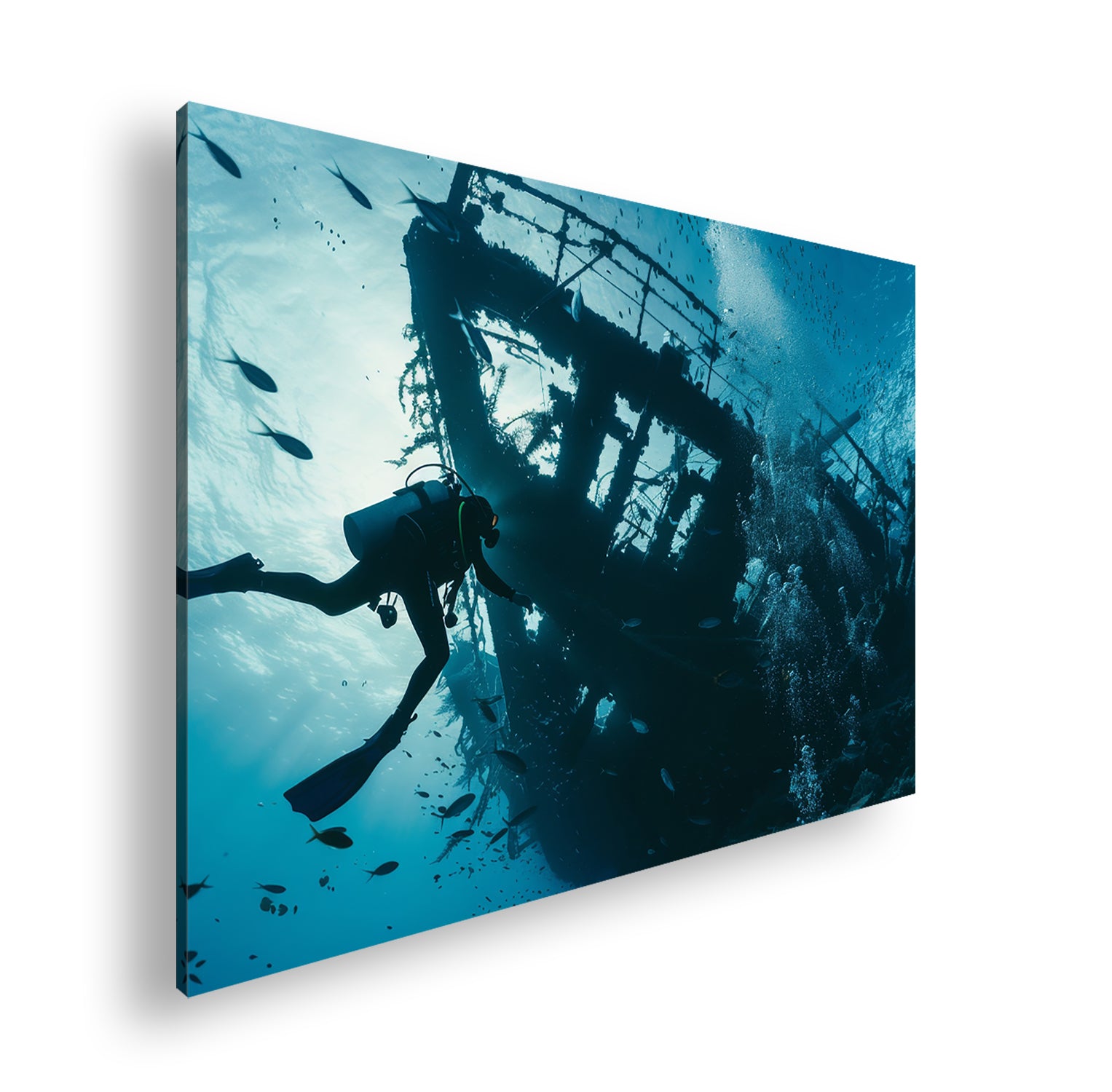 Hauptbild Farbig Standart