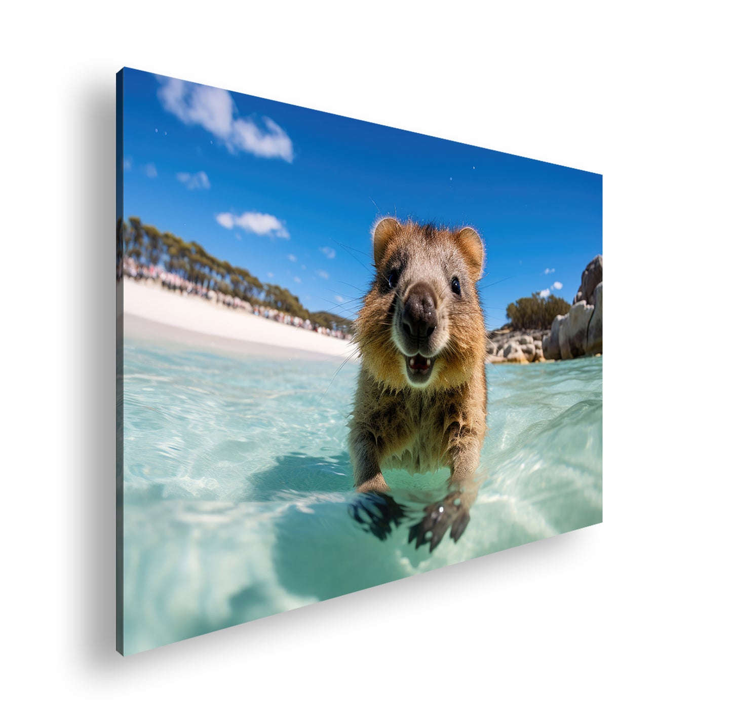 Hauptbild Farbig Standart