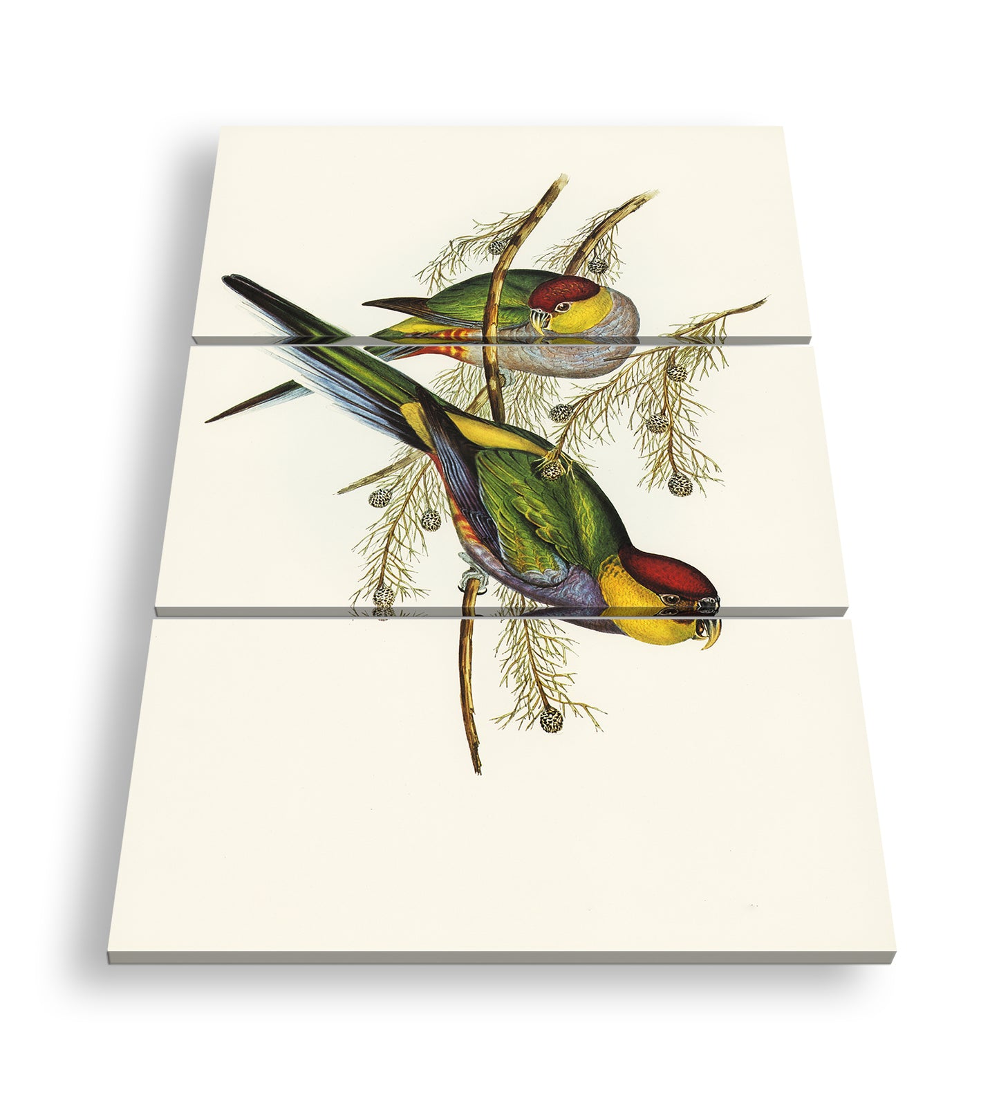 Hauptbild Farbig 3 Teilig