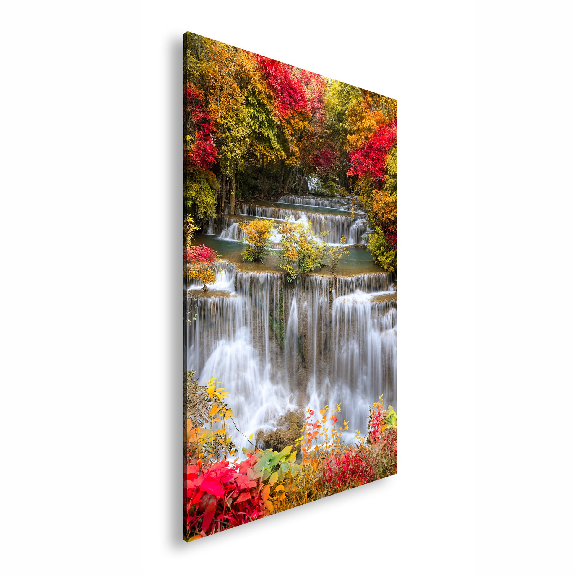 Hauptbild Farbig Standart