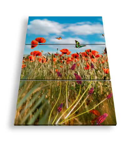 Hauptbild Farbig 3 Teilig