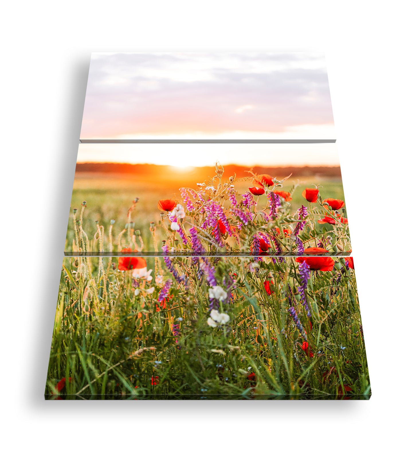 Hauptbild Farbig 3 Teilig