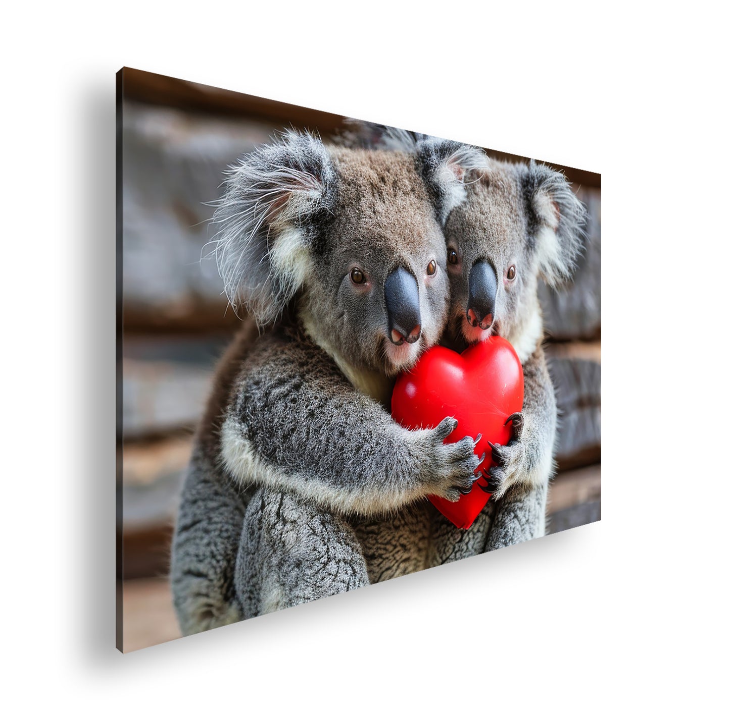 Hauptbild Farbig Standart