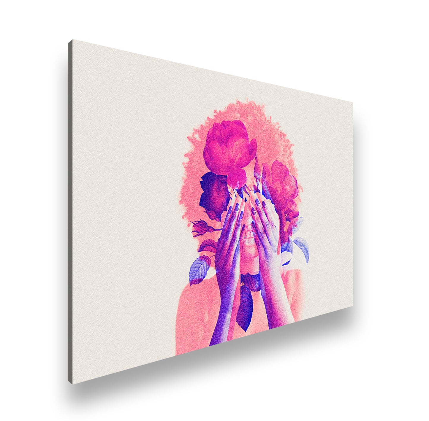 Hauptbild Farbig Standart